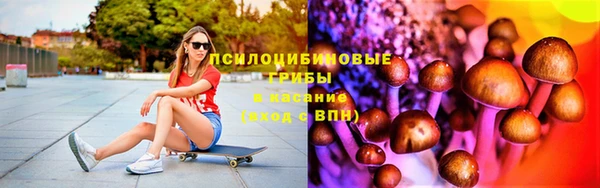 прущий лед Алзамай