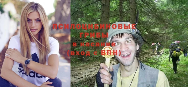 дживик Алексеевка