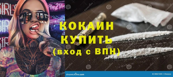 прущий лед Алзамай