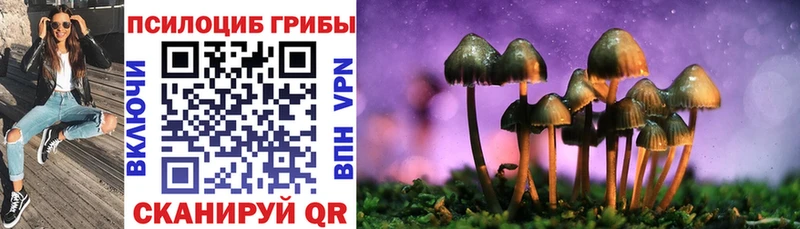 MEGA сайт  Новомосковск  Галлюциногенные грибы GOLDEN TEACHER  где продают  